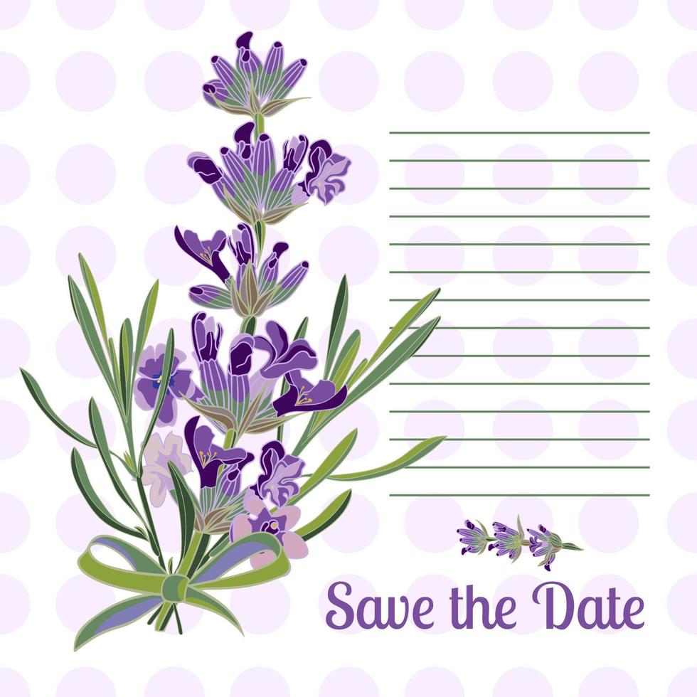 hälsning kort med lavendel- blommor. botanisk illustration. vektor