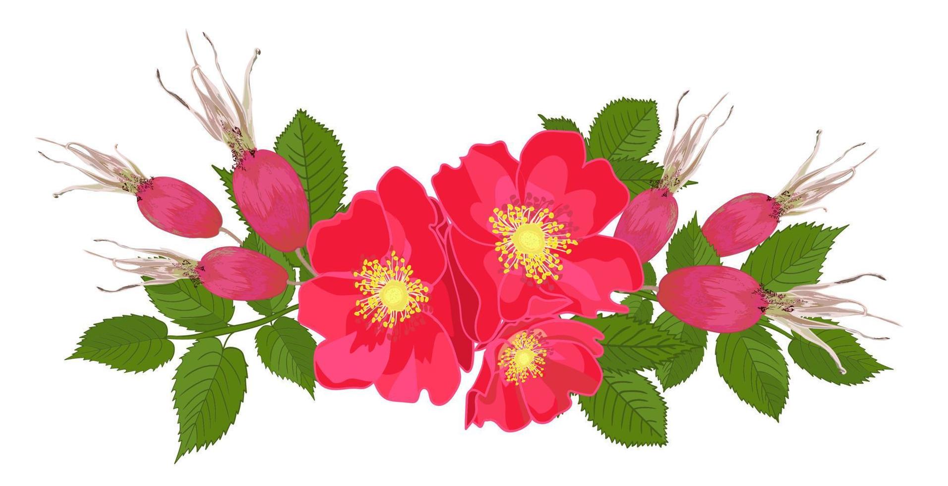 Set rote Rosenblüten mit Blättern im realistischen handgezeichneten Stil vektor