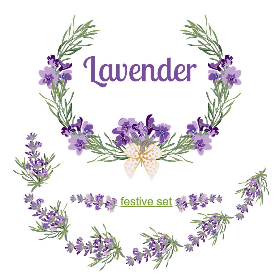 uppsättning festlig ramar och element med lavendel- blommor för hälsning kort. botanisk illustration. vektor