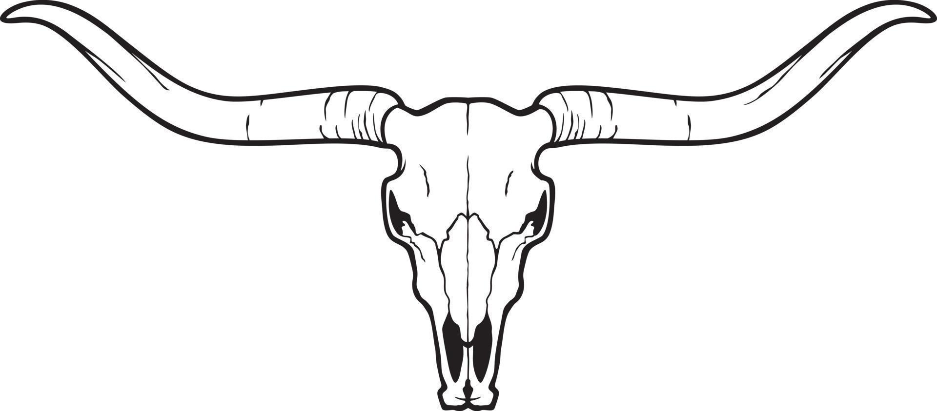 Longhorn-Kopfschädel - Stier- oder Kuhsymbol. Vektor-Illustration. vektor