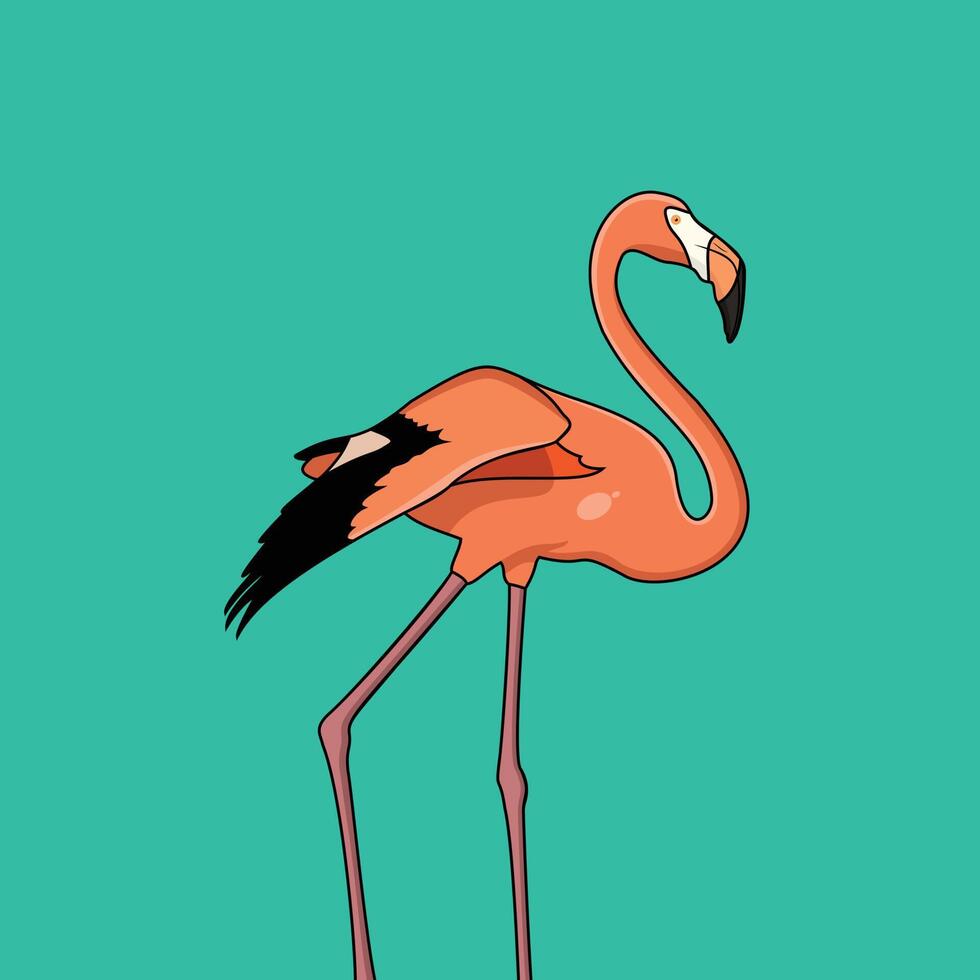 Flamingovektor, Pelikan, Reiherdesign, Vogelillustration. orange und schwarze Flamingo-Vogel-Symbol-Vektorillustration für Websites vektor