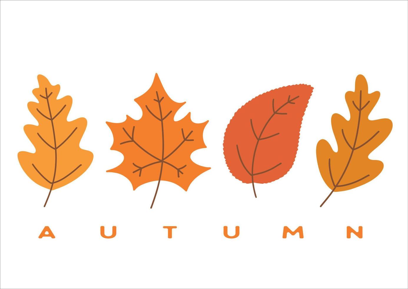 Reihe von bunten Herbstblättern. vergilbte Eichen- und Ahornblätter. saisonale Vektorillustration. Vorlage für dekoratives Design. vektor