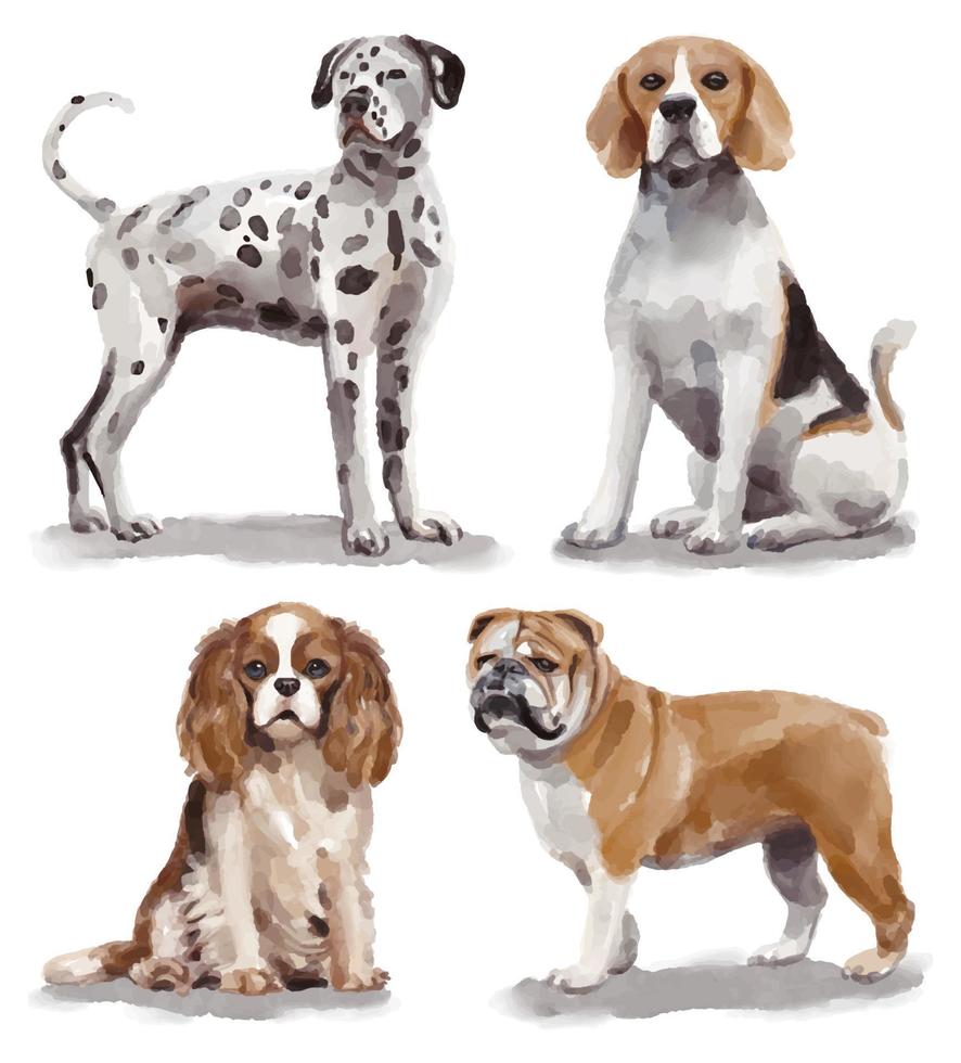 vattenfärg illustration med annorlunda raser av hundar - dalmatiner, beagle, kung charles spaniel, bulldogg vektor