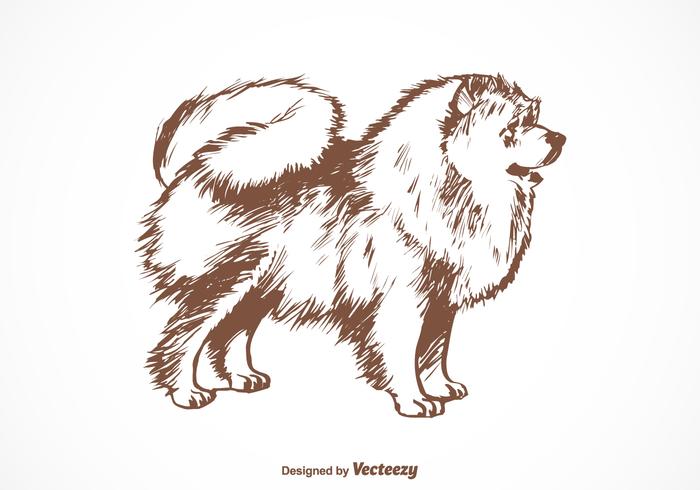 Free Pomeranian Dog Vektor-Illustration vektor