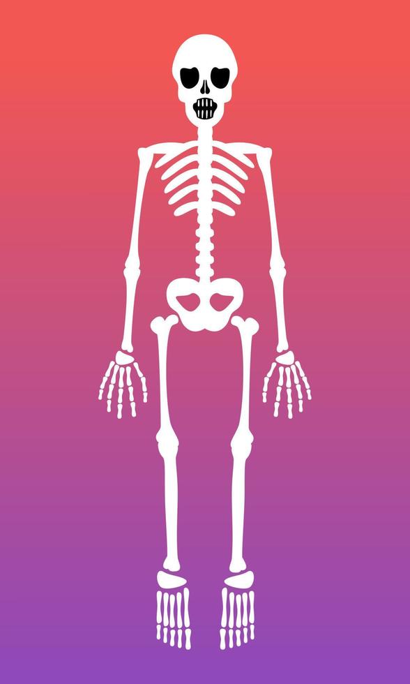 skelett grafisk logotyp vektor