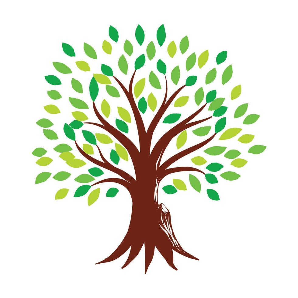 Bio-natürliches und gesundes Olivenbaum-Silhouette-Logo isoliert auf weißem Hintergrund. modernes Vektor-Grün-Pflanze-Symbol-Zeichen-Design-Kunstwerk. flache emblemillustration des hochwertigen ölproduktlogotyps. vektor