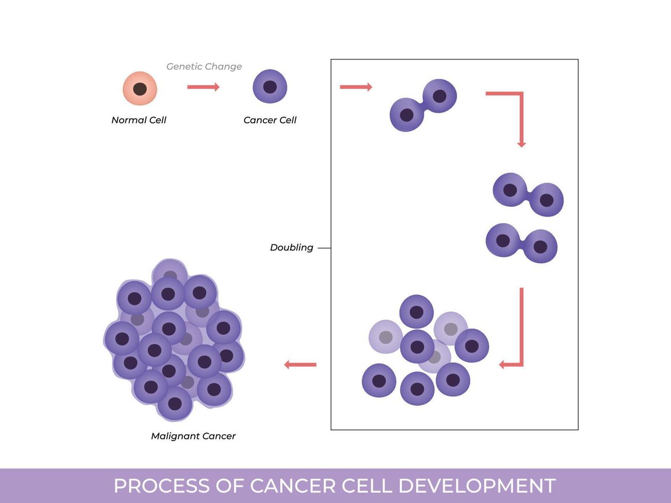 illustration av bearbeta av cancer cell utveckling vektor