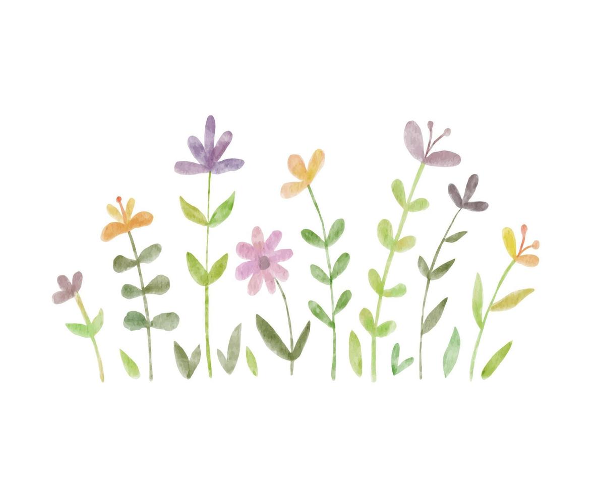 vattenfärg vild örter och blommor klotter illustration. fält med gräs och vild isolerat på vit bakgrund vektor