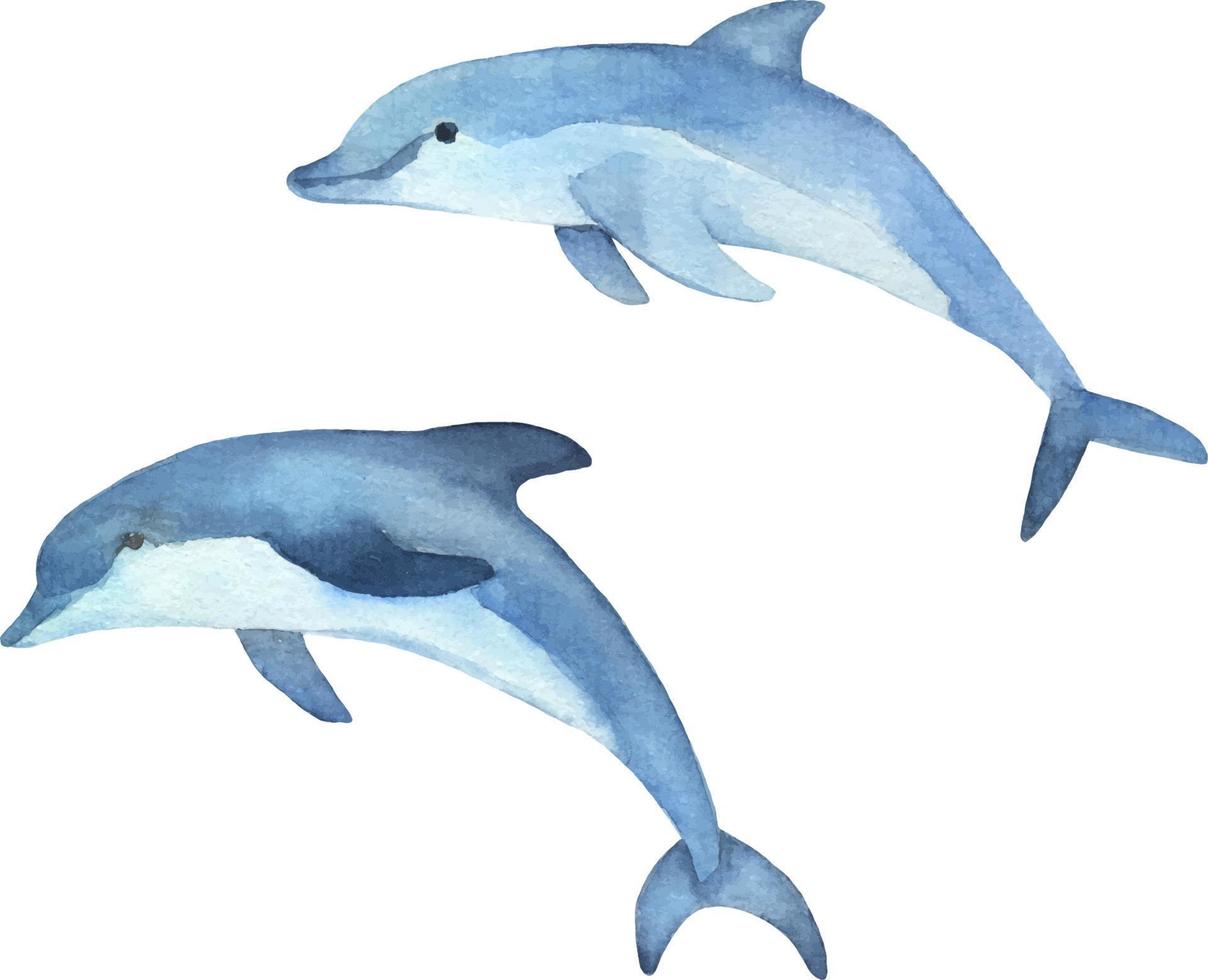 Springendes Delfinaquarell lokalisiert auf Weiß vektor