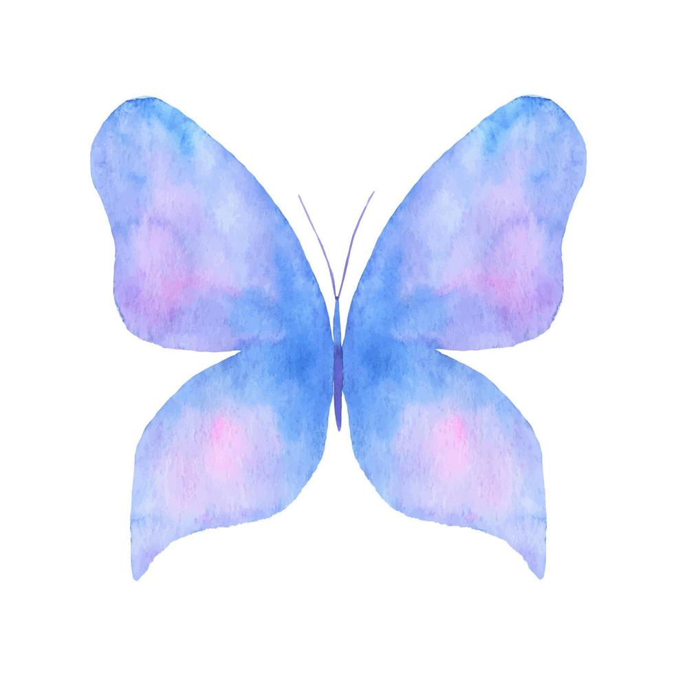 Aquarell Schmetterling isoliert auf weißem Hintergrund. blaue handgemalte illustration vektor