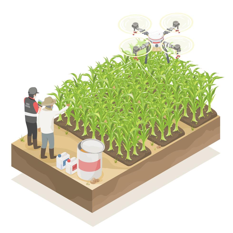 jordbrukare använda sig av gödselmedel och pesticid spruta jordbruks Drönare service för smart jordbruk till säker liv skadedjur kontrollera teknologi isometrisk vektor