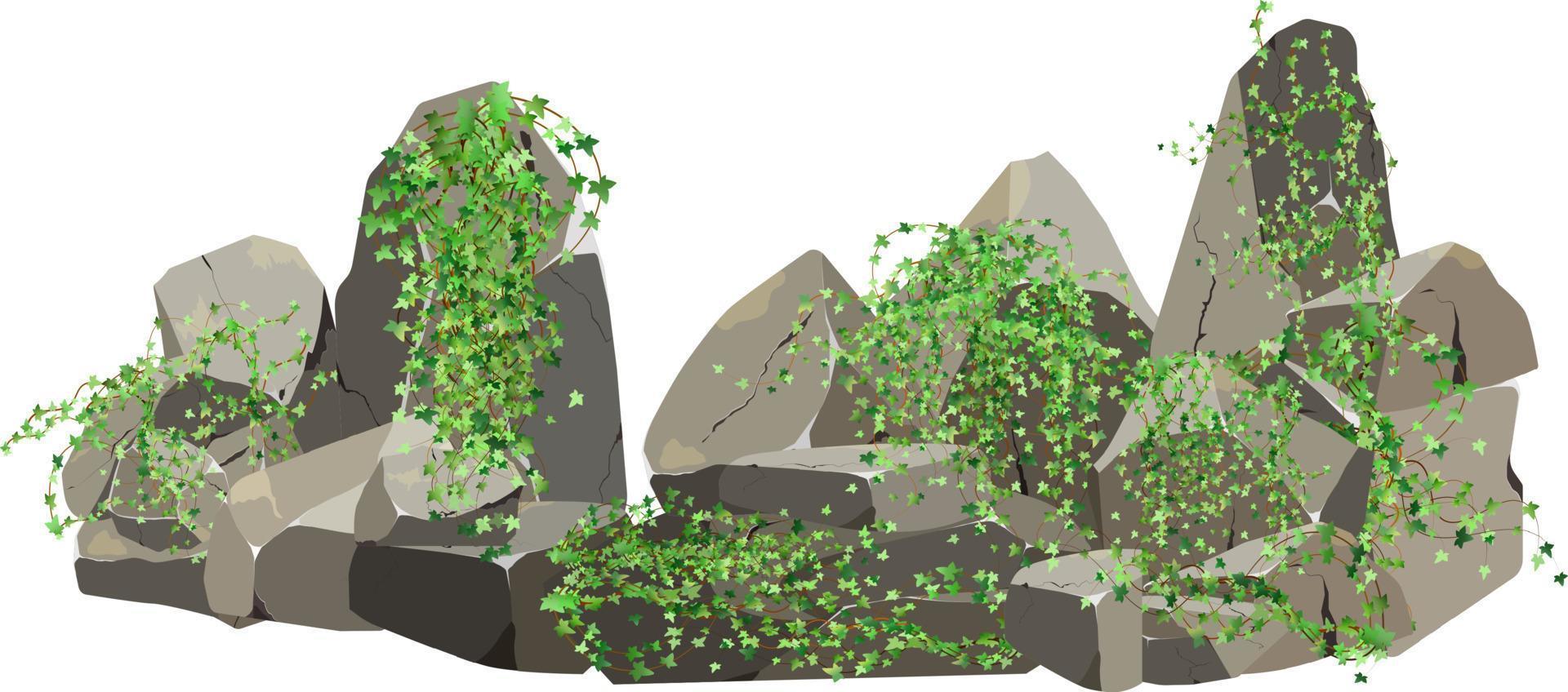 samling av stenar av olika former och växter.kustnära småsten, kullerstenar, grus, mineraler och geologisk formationer.rock fragment, stenblock och byggnad material.vektor illustration . vektor