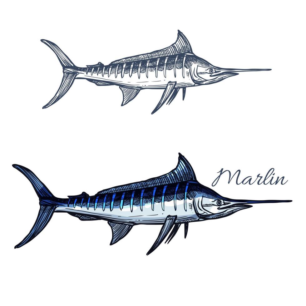 Marlin Fisch Vektor isoliert Skizzensymbol