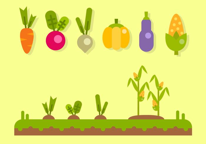 Freier Gemüse Vektor