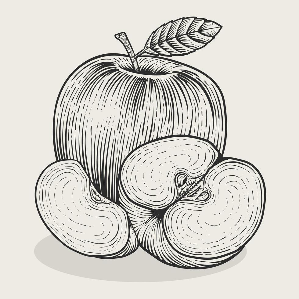 illustration årgång äpple frukt med gravyr stil på vit bakgrund vektor