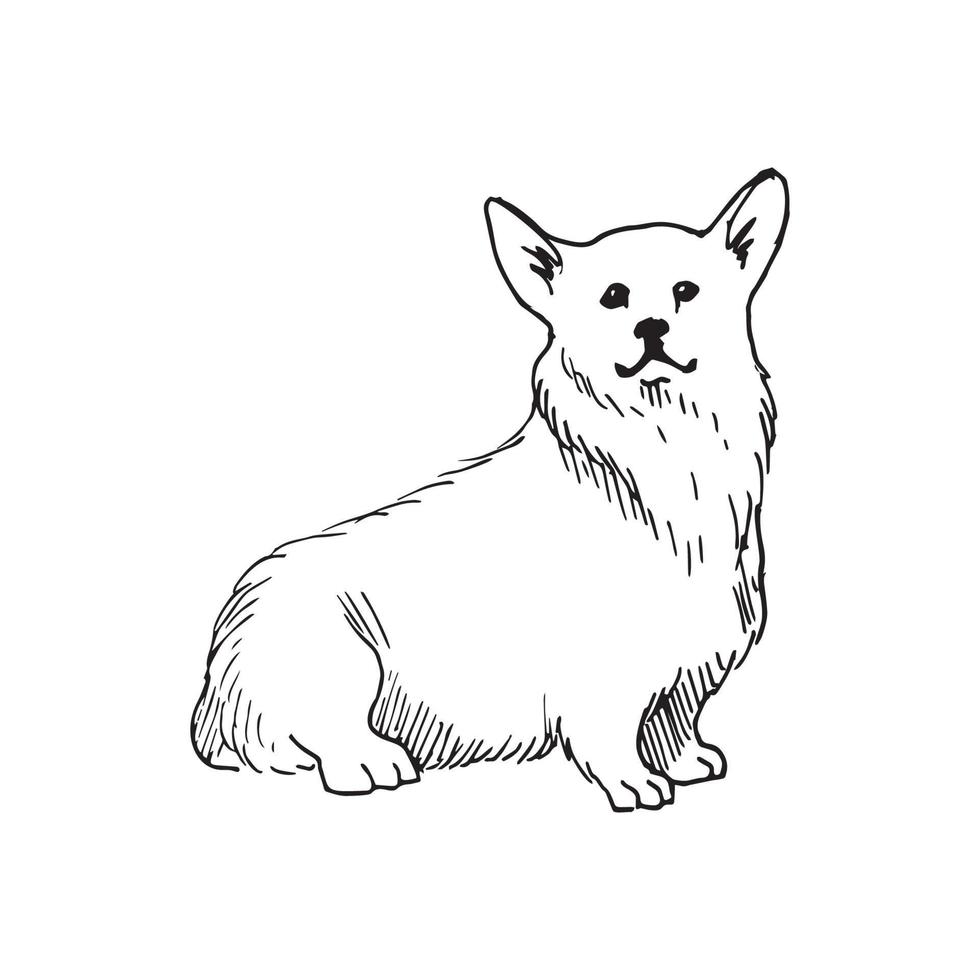 illustration im walisischen corgi-kunsttintenstil vektor