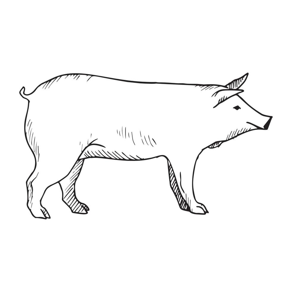 illustration i gris konst bläck stil vektor