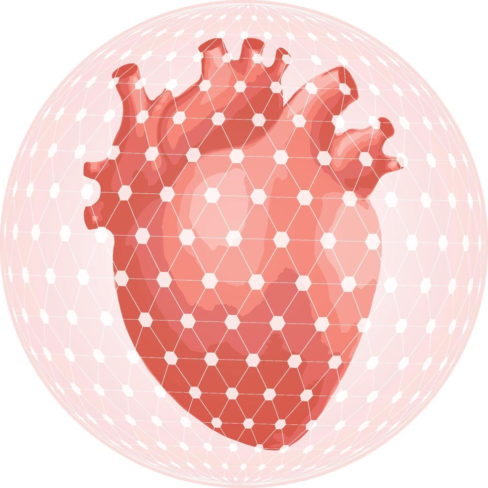 Vektorsymbol für menschliche Herzorgane isoliert vektor