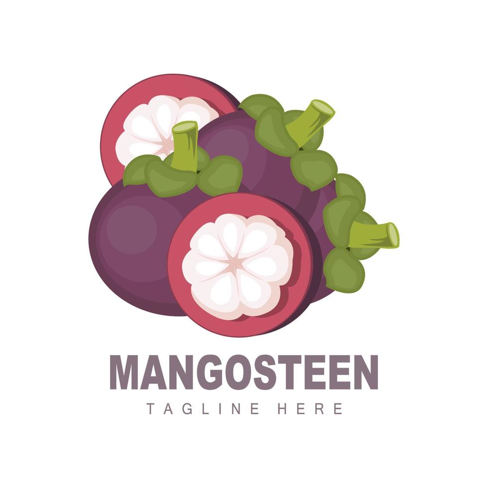 Mangosteen-Logo-Design, Vektor aus frischen Früchten für die Hautgesundheit, Markenillustration für Obstläden und natürliche Hautmedizin