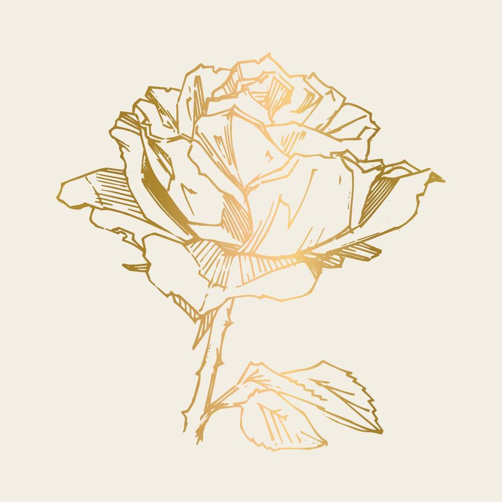 handgezeichnete Rose. Vektor-Illustration. Rose im Vintage-Tattoo-Stil. Blumenmotivskizze für Design. Tintenillustration isoliert. vektor