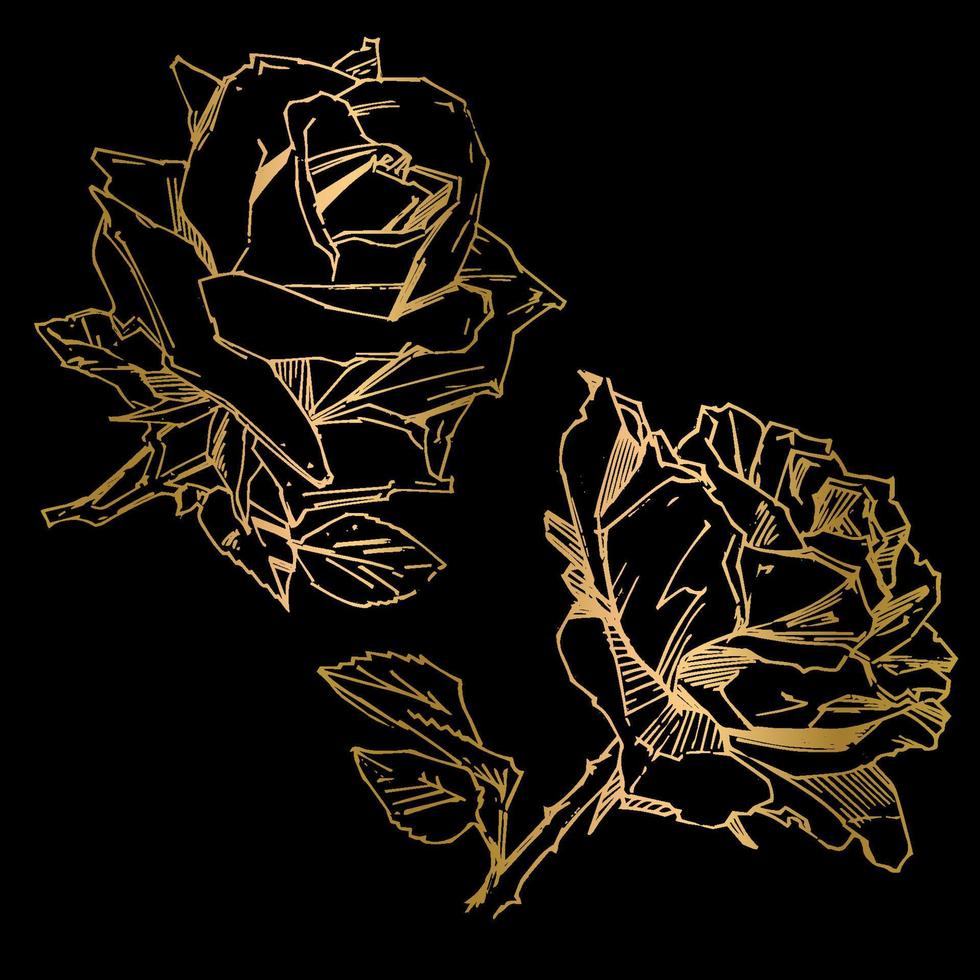 handgezeichnete Rose. Vektor-Illustration. Rose im Vintage-Tattoo-Stil. Blumenmotivskizze für Design. Tintenillustration isoliert. vektor