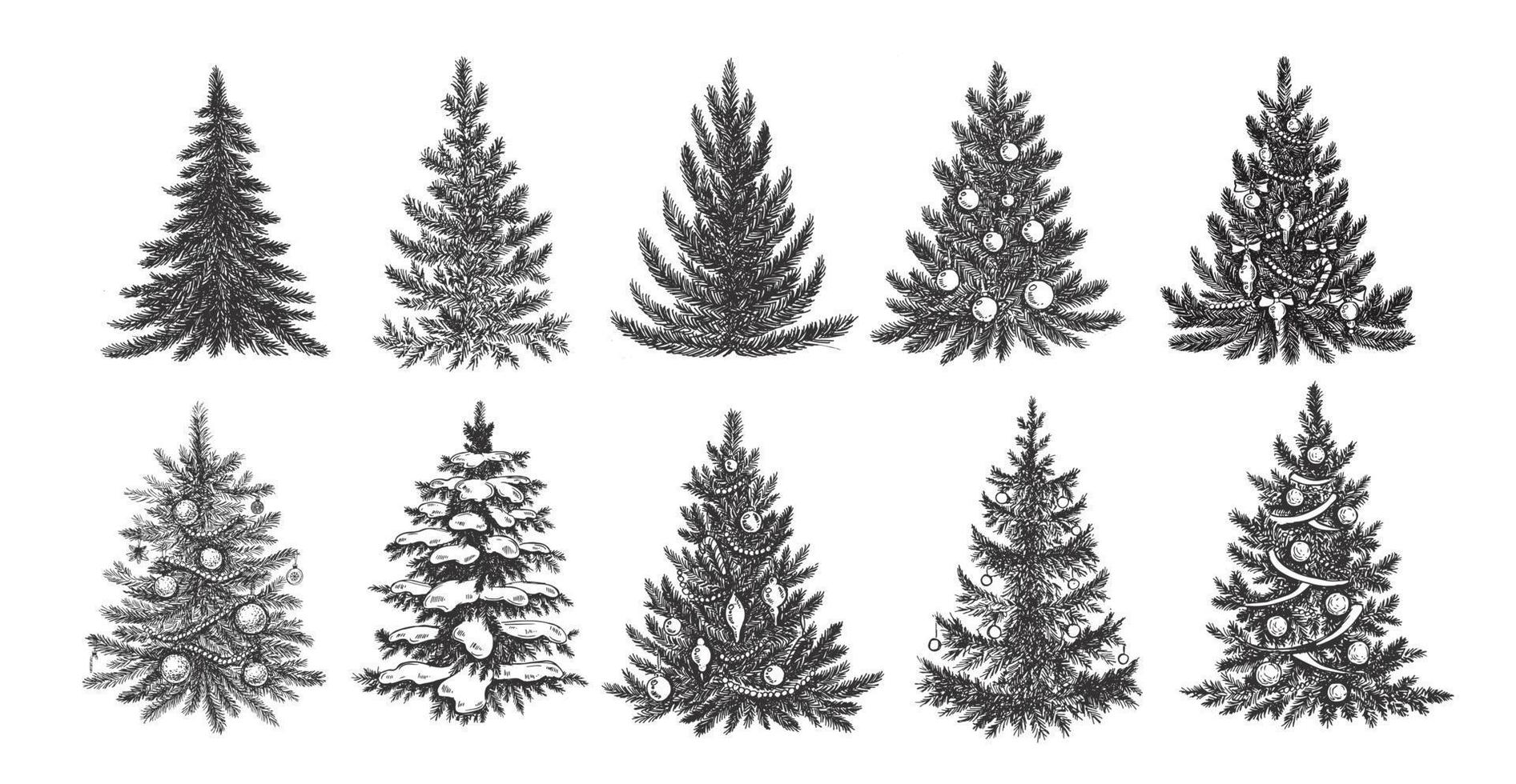 jul träd uppsättning. hand dragen illustration. vektor. vektor