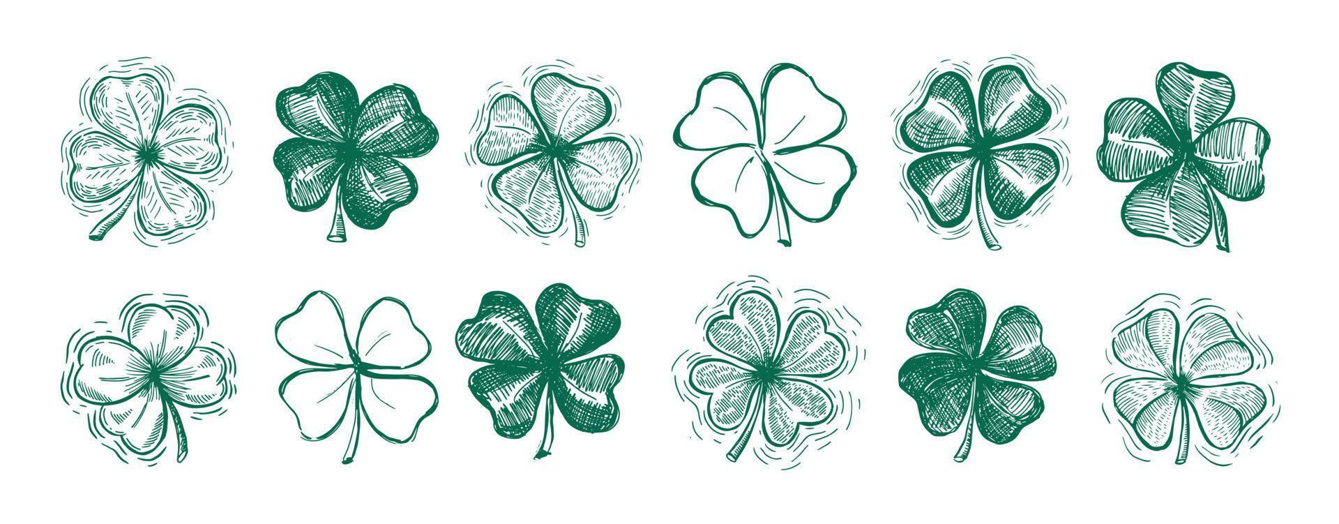 klöver, st. Patricks dag. handritade illustrationer. vektor. vektor