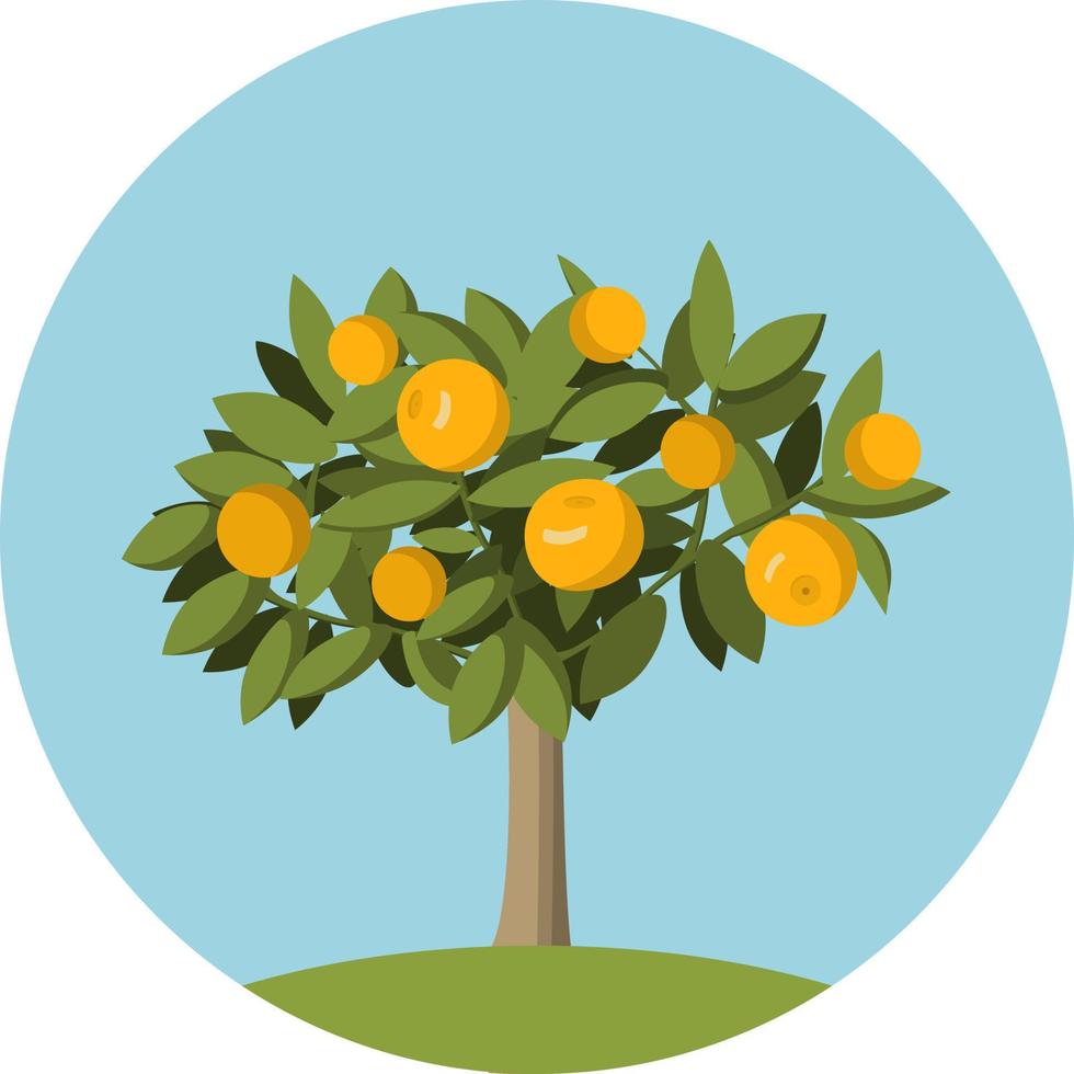 orange obstbaum im flachen stil. gestaltungselement für die webseiten gartenarbeit, obstgeschäfte und für eine verpackung von orangen und saft vektor