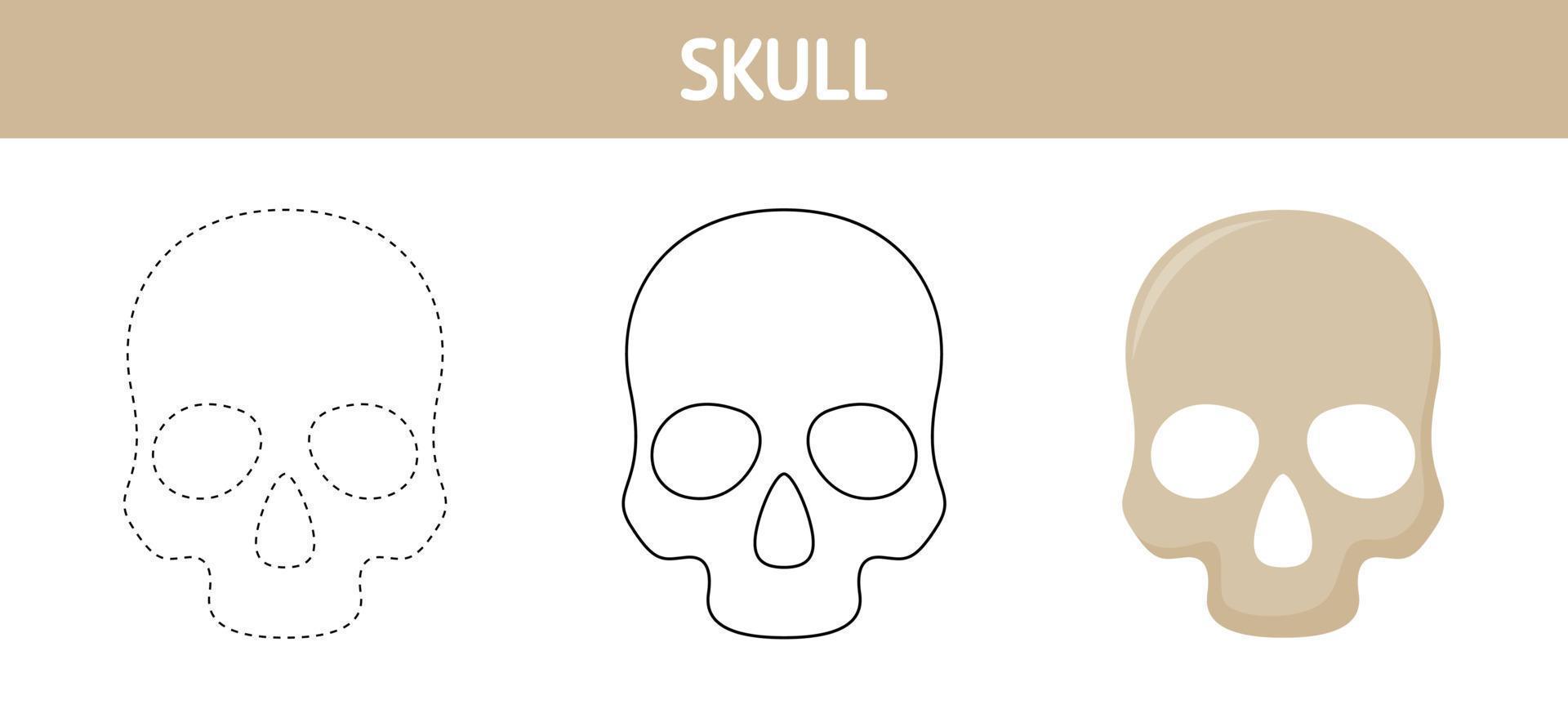 Arbeitsblatt zum Nachzeichnen und Ausmalen von Schädeln für Kinder vektor