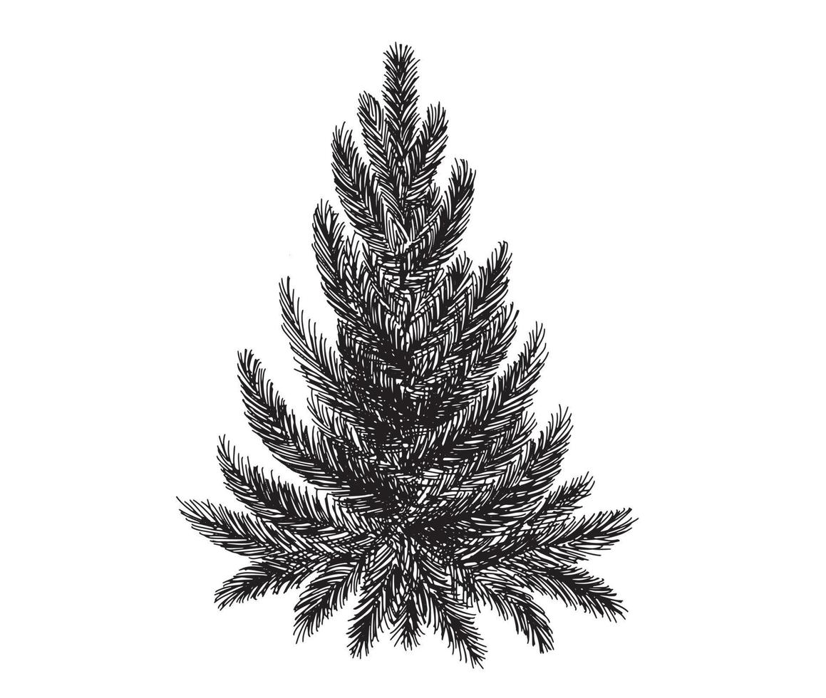 weihnachtsbaum hand gezeichnete illustration vektor