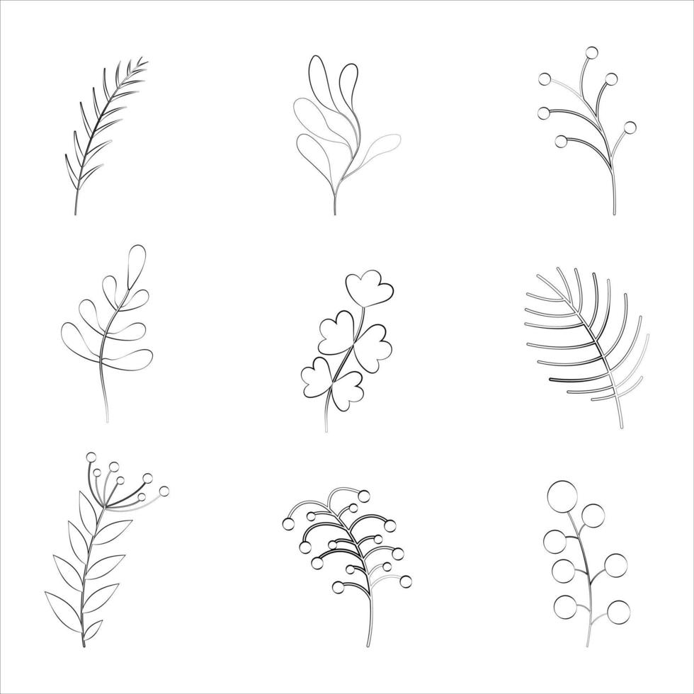 eine Reihe von Zweigen von Pflanzen und Blumen mit einer dünnen Linie. vektor