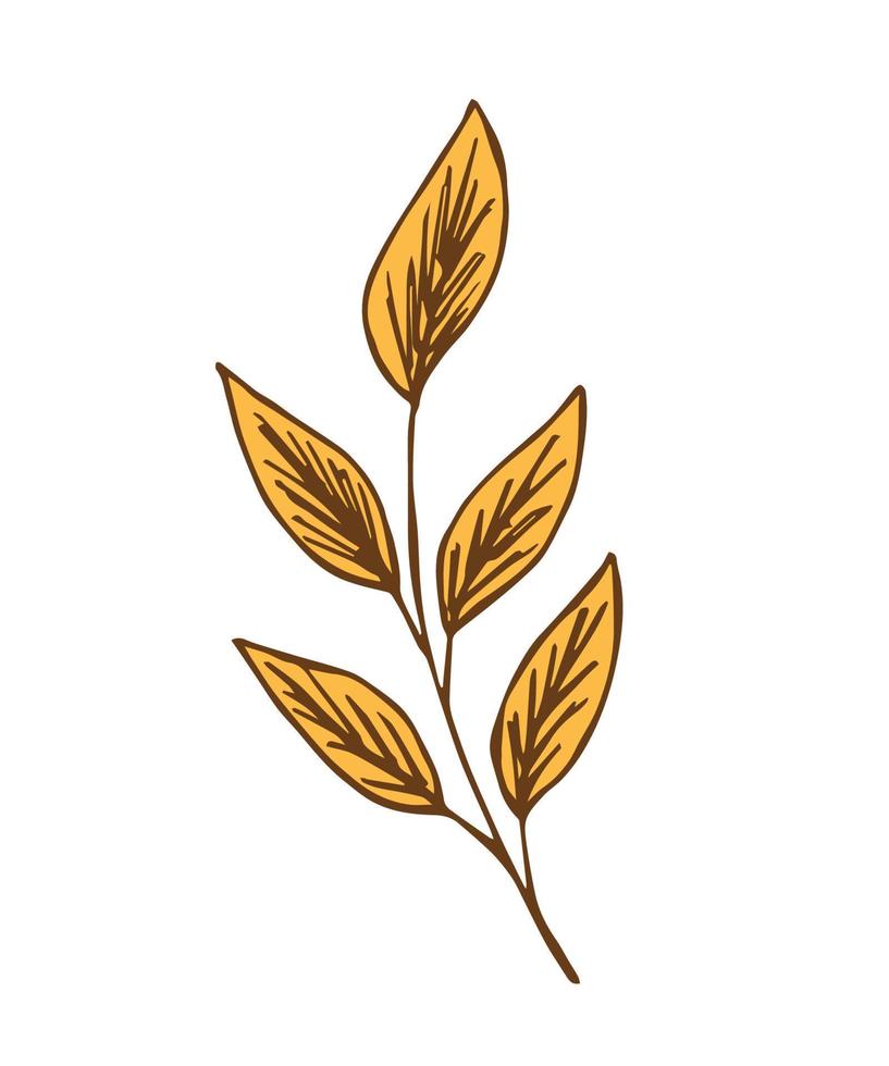 handgezeichnete Vektorzeichnung. Zweig mit Herbstlaub isoliert auf weißem Hintergrund. für saisonales design, element der natur, fallende blätter. vektor