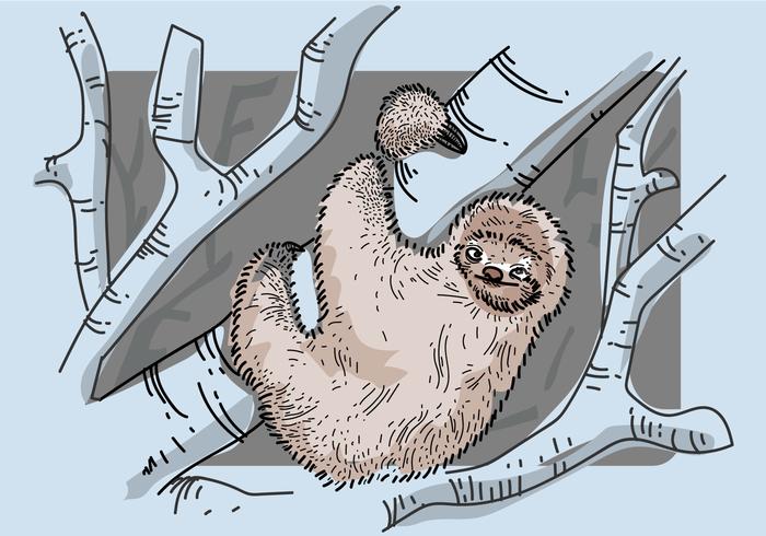 Gratis Sloth Vector Illustration