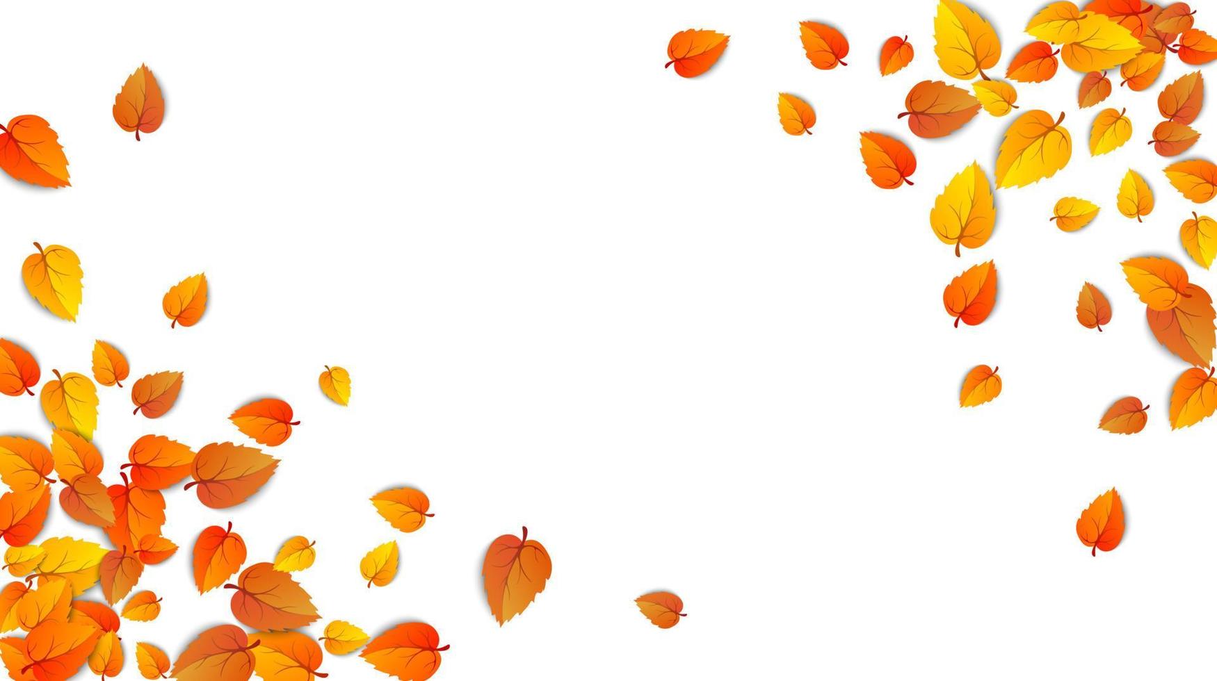 sömlös höst löv horisontell baner isolerat på vit bakgrund. reklam mall med gyllene höst blad. falla säsong färger mönster. höstlig natur lövverk tapet ram. vektor