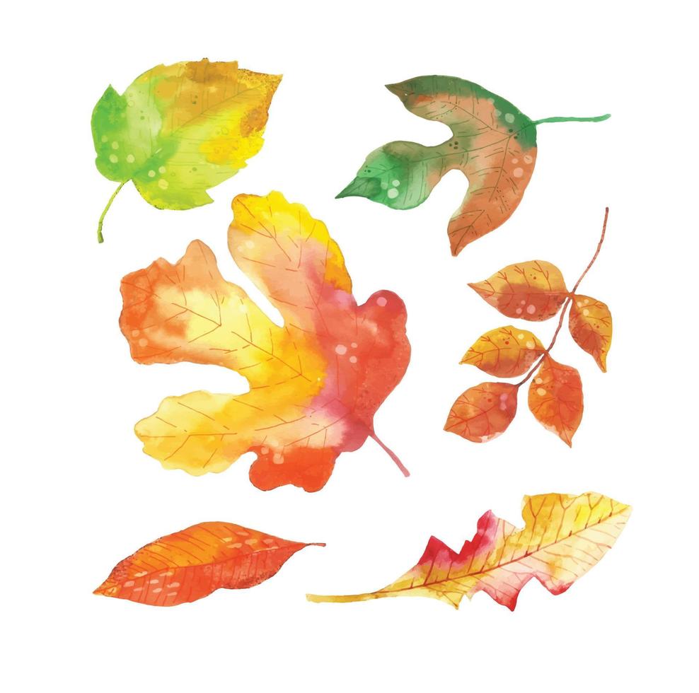 aquarell herbstlaub sammlung vektor