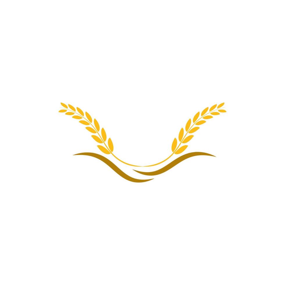 Weizen-Logo-Vektor vektor