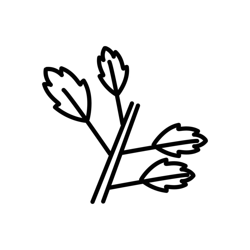 Abbildung des Symbols für die Korianderblattlinie. symbolillustration im zusammenhang mit gewürzen, kochen von gewürzen. einfaches Vektordesign editierbar. vektor