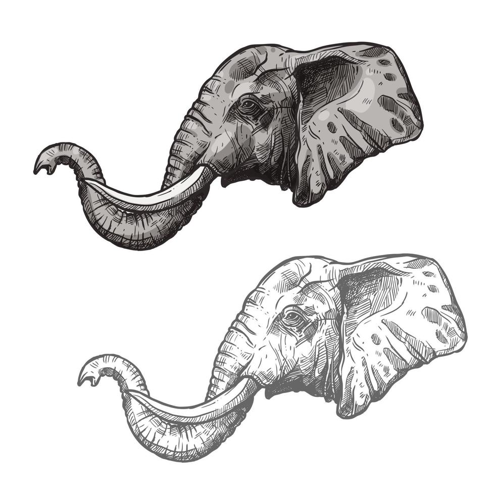 Elefant afrikanischen Wildtier Vektor Skizzensymbol