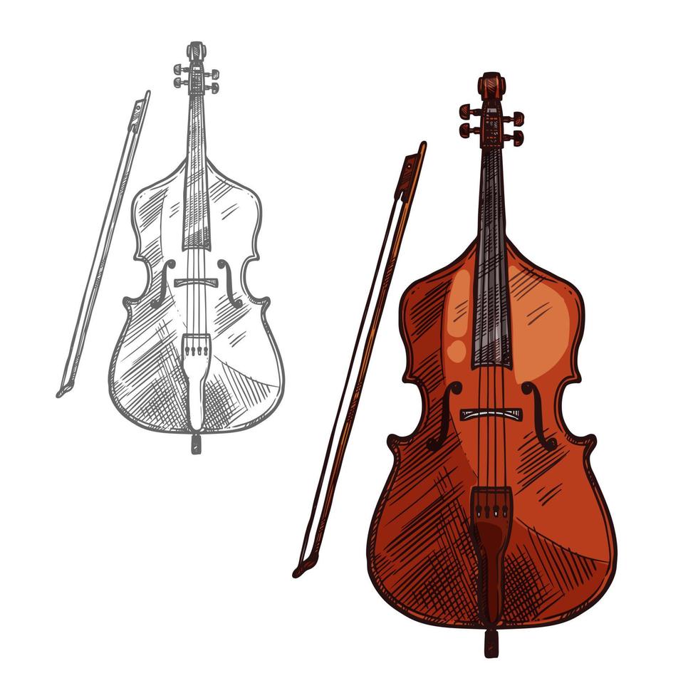 vektor skiss kontrabas fiol musik instrument