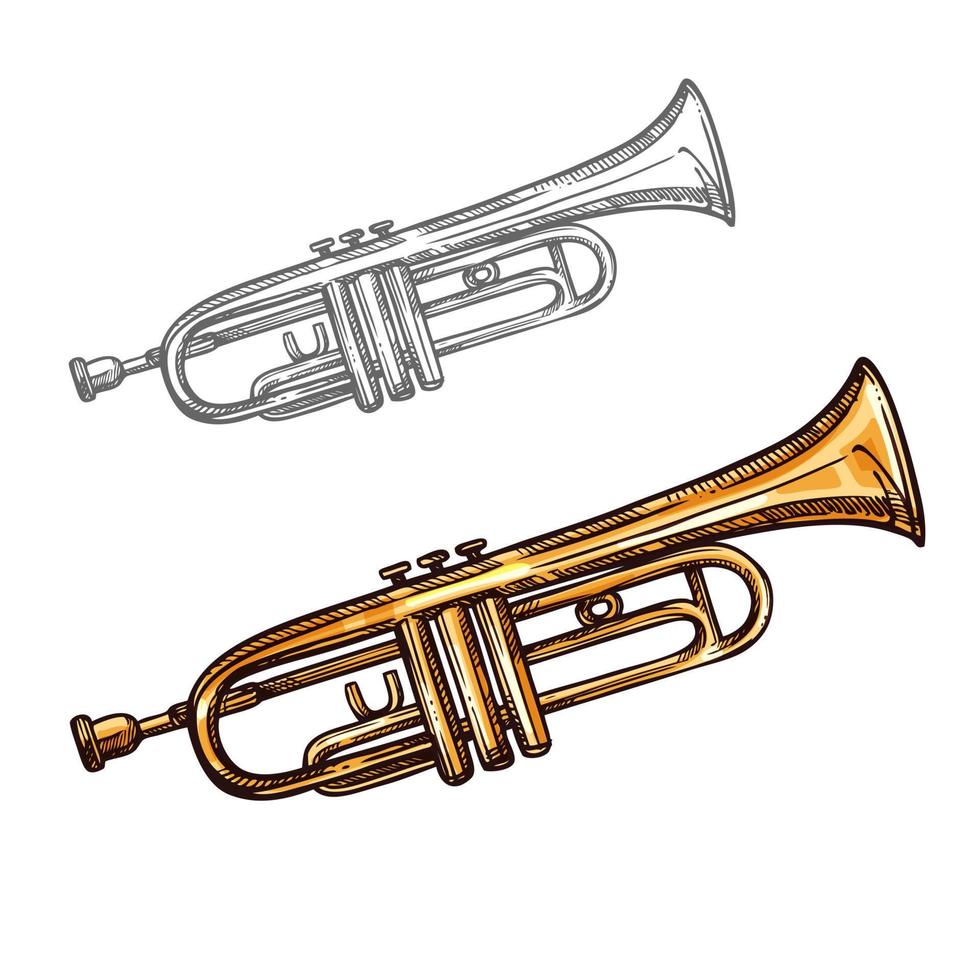 Vektorskizze Trompete Musikinstrument vektor