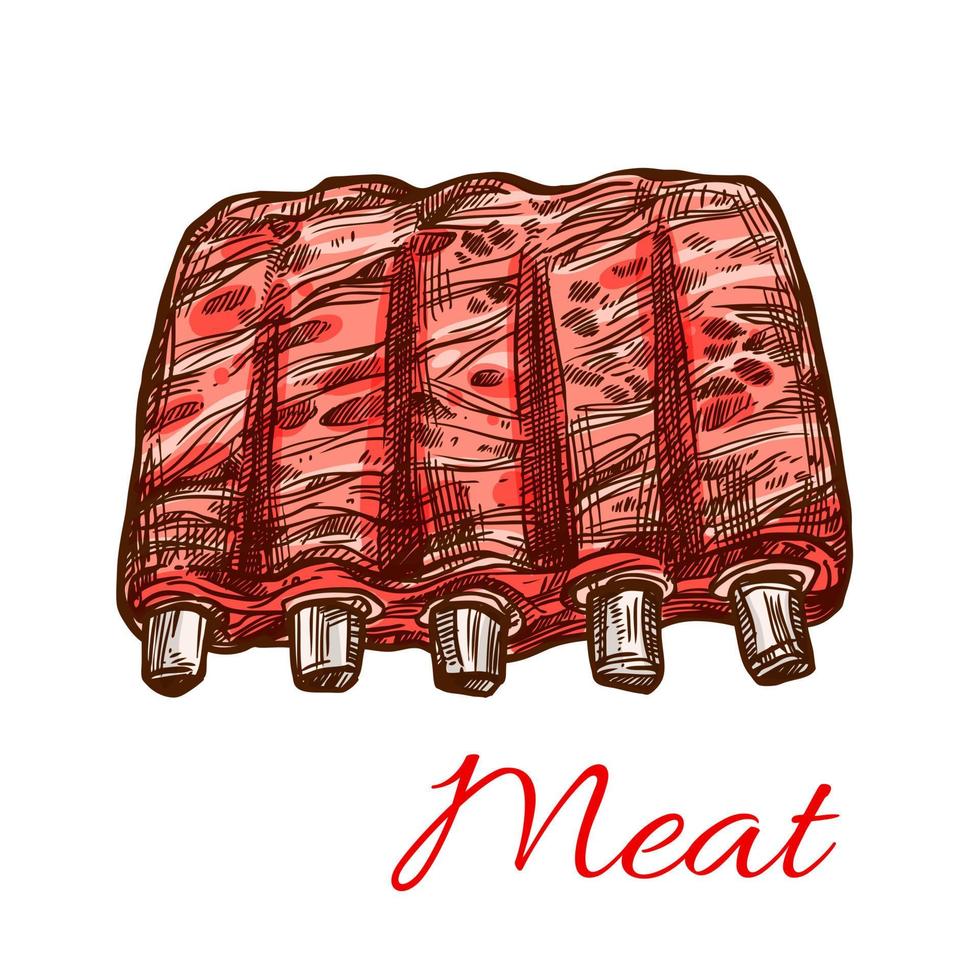 Schweine- oder Hammelfleisch frische Rippen Vektor Fleisch Skizzensymbol