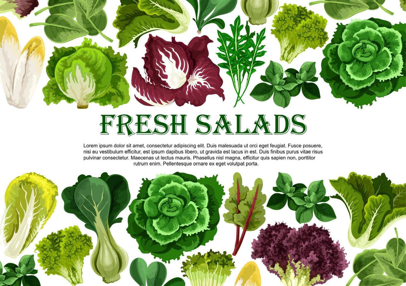 sallad blad, vegetabiliska grönt baner gräns design vektor