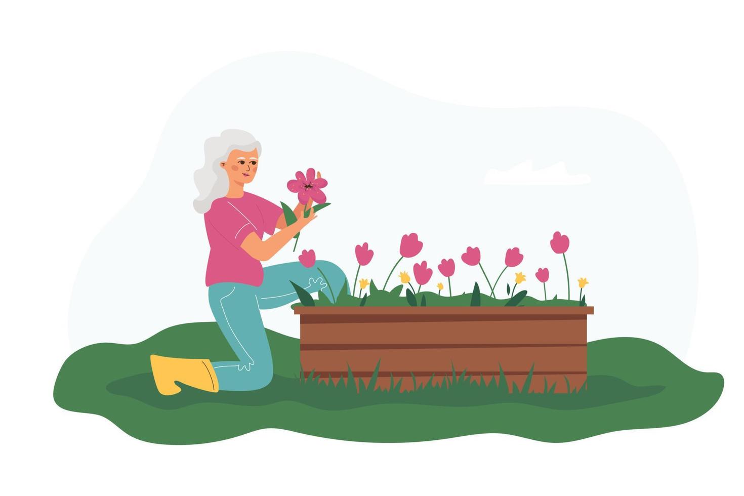 eine glückliche ältere Frau, die Blumen anbaut. Ruhestand Hobby und Freizeit. vektor