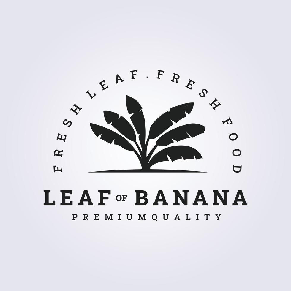 bananenblatt, vektor, logo, illustration, design vektor