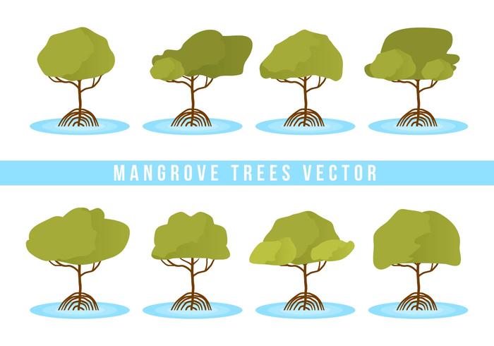 Gratis Mangrove Träd Vector