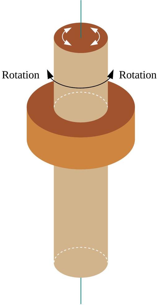 svänga gemensam är en typ av synovial gemensam den där tillåta axial rotation vektor