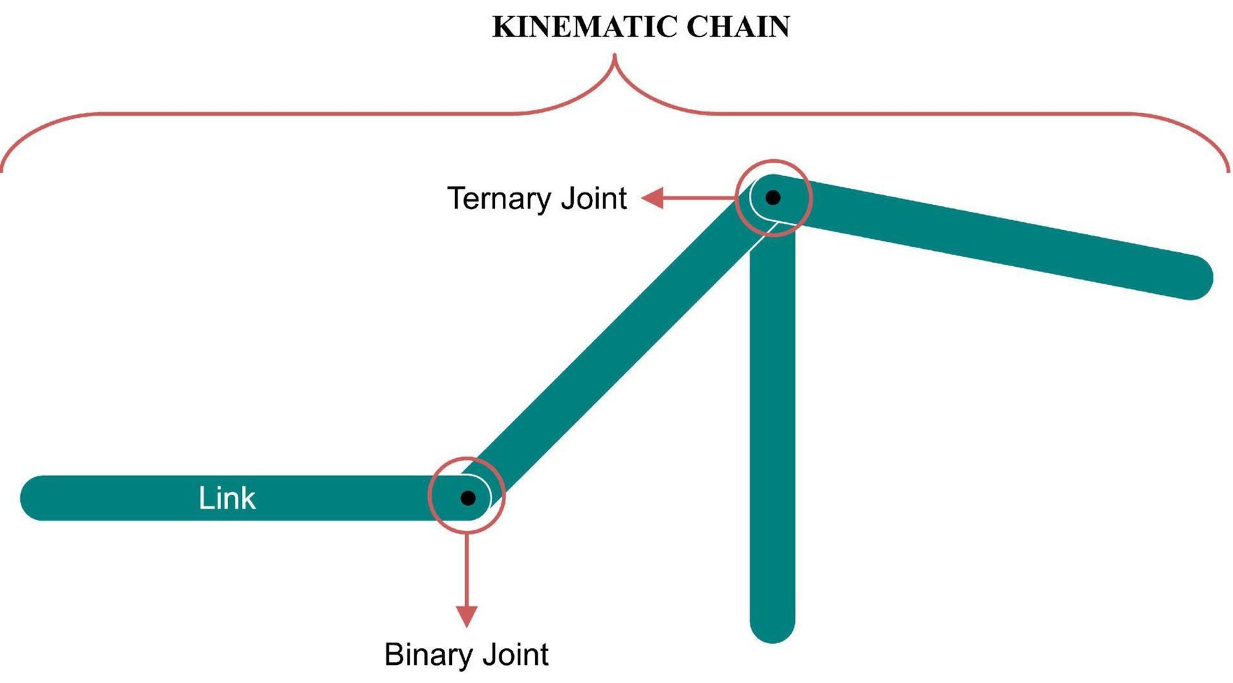 kinematisk kedja, systemet tillverkad upp av två eller Mer stel kroppar fogade förbi lederna vektor