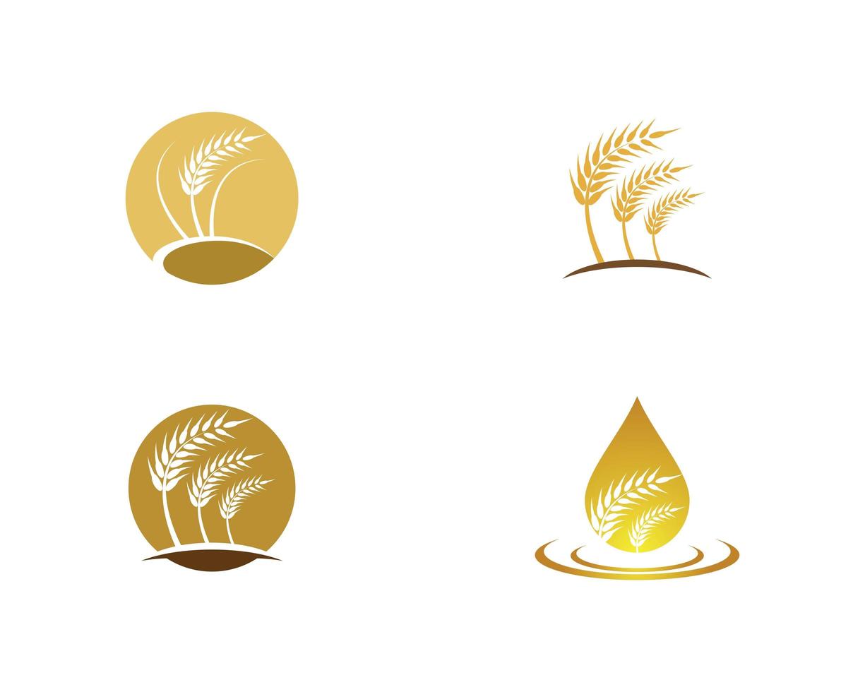 Landwirtschaft Weizen Logo Bilder vektor
