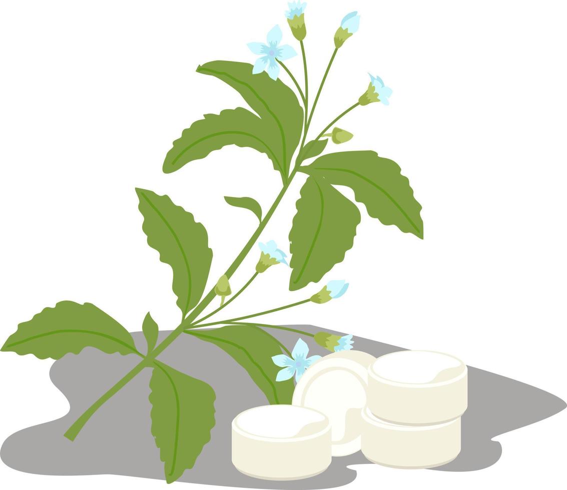stevia växt. stevia sötningsmedel socker ersättning. friska socker alternativ växt. medicinsk örter i tecknad serie platt stil. vektor