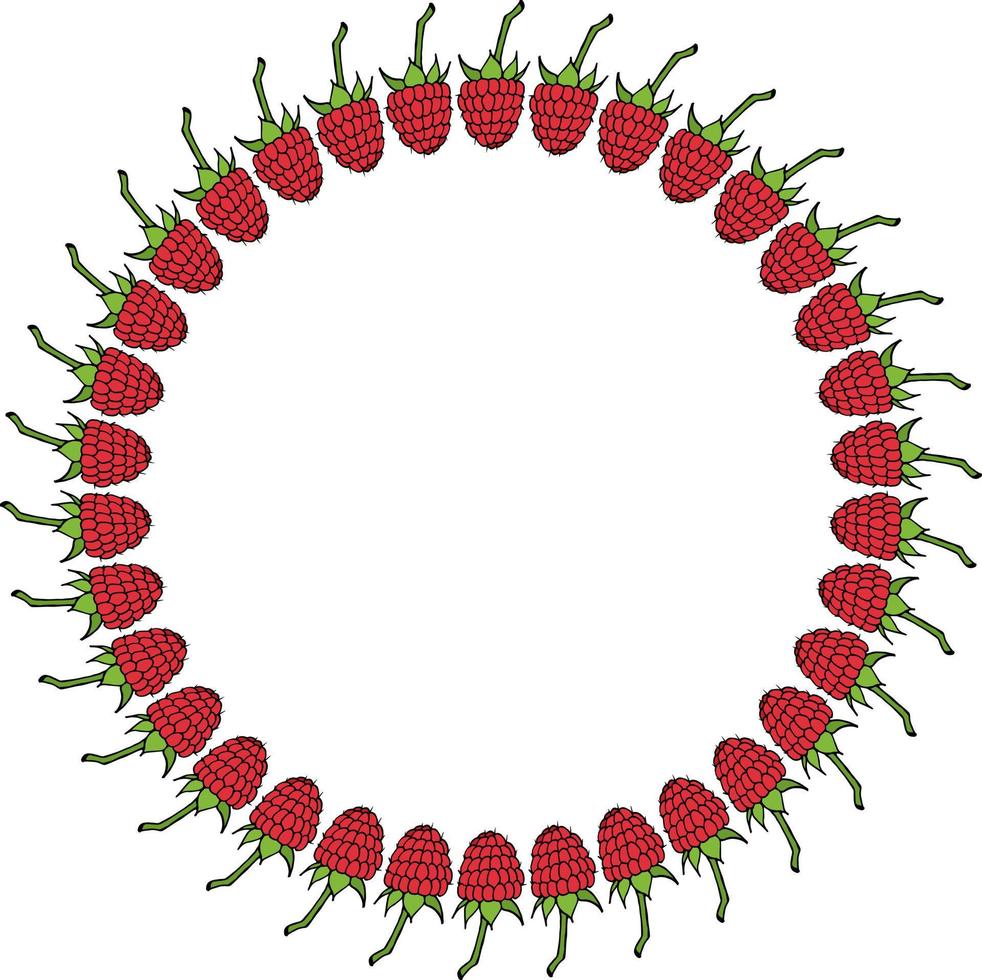 runder Rahmen mit Himbeere auf weißem Hintergrund. Vektorbild. vektor